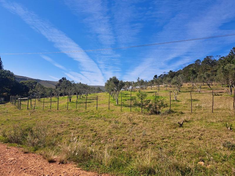 0 Bedroom Property for Sale in Kareedouw Eastern Cape